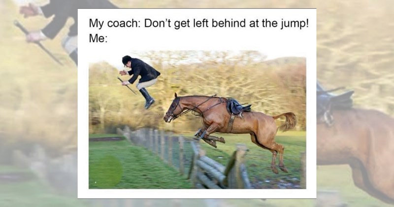 i own a horse horsetrack rider funny memes horse rider horse memes horse race horses racetrack funny horse Animals - 46748165