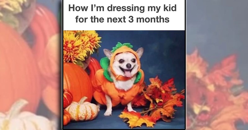 humor autumn dads spooky season toddlers moms parenting comedy new parents family funny parents fall Family - 46772997