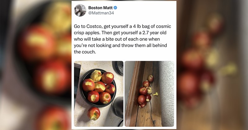 women tweets funny memes fresh tweets relatable tweets tweets funny parenting tweets cat tweets viral trending funny tweets trending tweets parenting tweets animal tweets tweet random tweets funny Chronically Online - 46773765