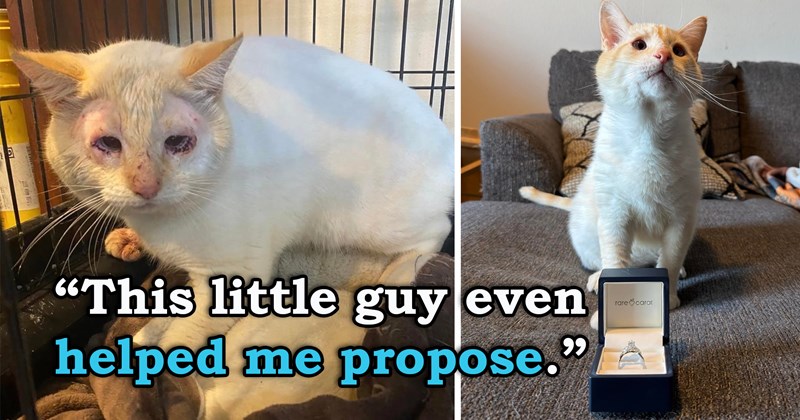 story about a man who didn't want a cat falling in love with the saddest cat in the shelter that his girlfriend adopted and proposing to her | thumbnail includes two pictures of a cute cross-eyed cat 'This little guy even helped me propose'