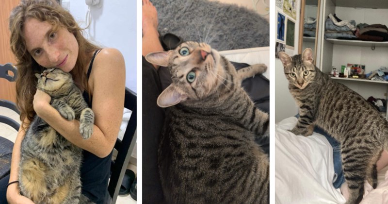 Behind every cat story is a cat purrson: Meet Briana and Ty of I Can Has Cheezburger