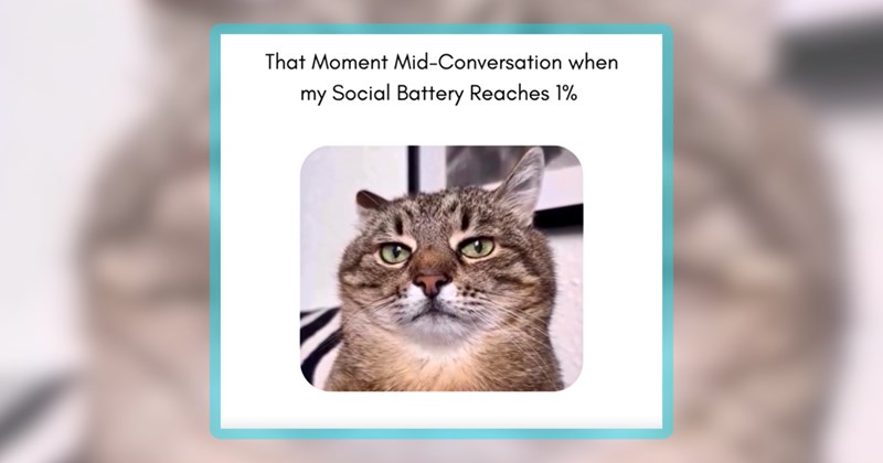 30 cat memes | thumbnail includes one meme including 'That Moment Mid-Conversation when my Social Battery Reaches 1%'