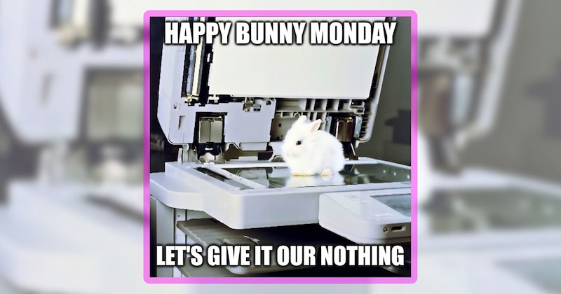 23 bunny memes | thumbnail includes one meme including 'HAPPY BUNNY MONDAY LET'S GIVE IT OUR NOTHING'