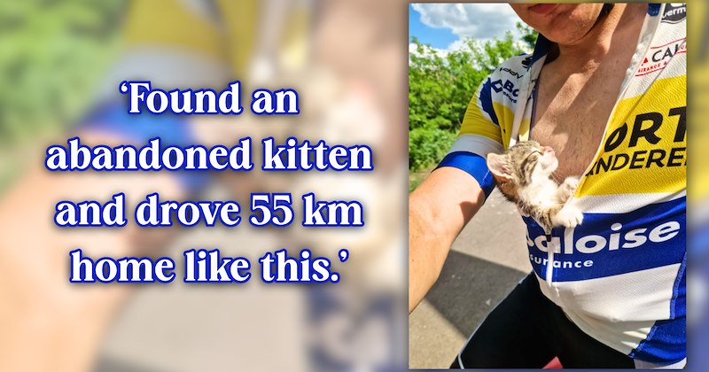 18 text pictures, 7 cat pictures | thumbnail includes one cat picture, and ‘Found an abandoned kitten and drove 55 km home like this.’