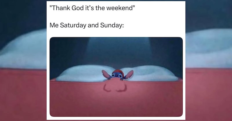 weekend memes relaxing saturday slackers work week saturday morning saturday memes sunday Memes weekend funny resting Funny Memes - 46846725