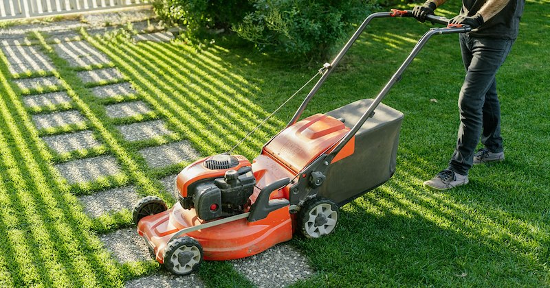 neighbors fenced garden homeowner plumbing neighborhood-drama Neighbors - 46858501