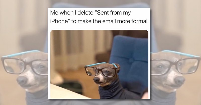 dash of laughs Monday morning coffee memes funny memes laugh Funny Memes - 46859269