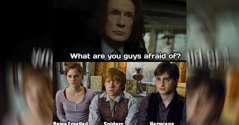 Harry Potter voldemort harry potter memes hermione granger Albus Dumbledore sirius black draco malfoy hedwig Ron Weasley Severus Snape professor lupin Hagrid Hogwarts Fandom - 46867973