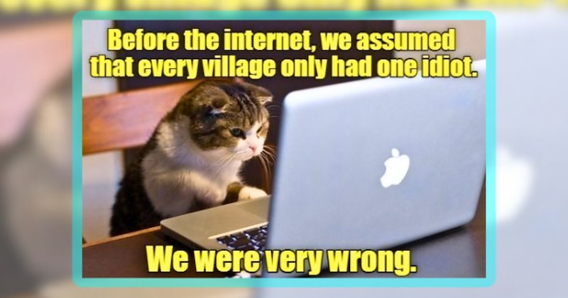 54 cat memes | thumbnail includes one meme including 'Before the internet, we assumed that every village only had one idiot. We were very wrong.'