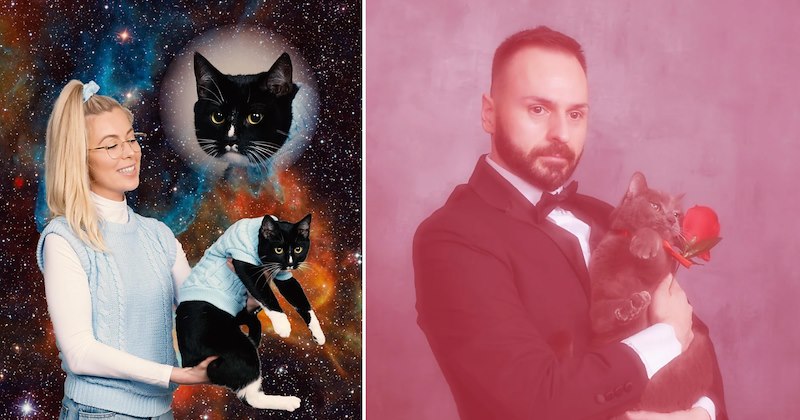 26 cat pictures | thumbnail includes two pictures of cats 