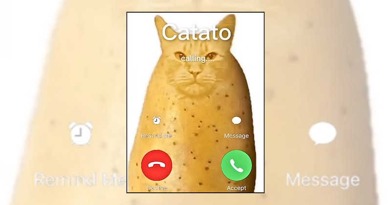 Funny Memes internet humor incoming call silly memes absurd memes funny memes weird memes phone memes - 46875653
