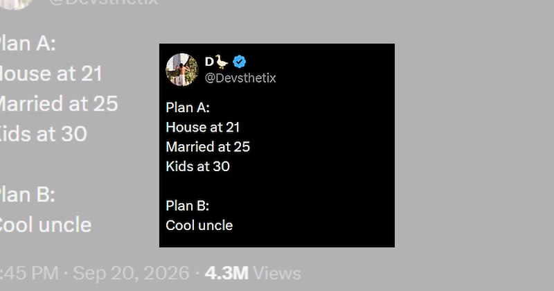 life plans childfree cool aunt cool uncle relatable tweets adulting tweets funny tweets Funny Memes - 46882821