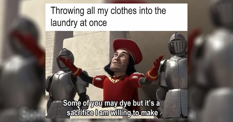 funny random memes relatable memes work memes dog memes random memes silly memes funny memes dank memes Memes twitter memes meme silly funny tweets animal memes funny cat memes Funny Memes - 46885125