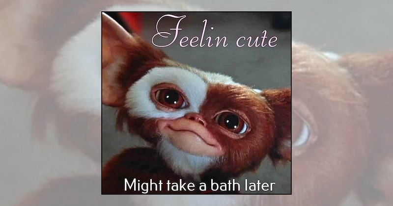Funny Memes gremlins 3 movie trailer nostalgia movie memes horror comedy pop culture gizmo gremlins memes puppets - 46910469
