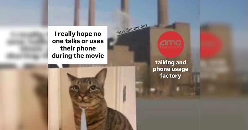 movies letterboxd Memes films fans TV & Movies - 46911493