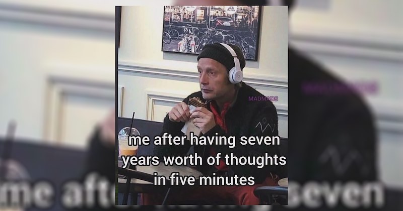 funny random memes relatable memes work memes dog memes random memes funny memes weather baseball dank memes Memes twitter memes meme silly funny tweets funny cat memes Funny Memes - 46914053