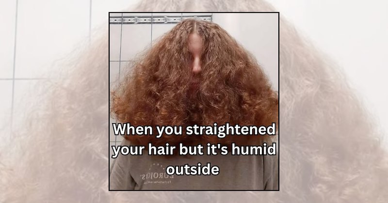 windy weather relatable memes hair memes frizzy hair hairstyle memes fall weather bad hair day Funny Memes - 46915589