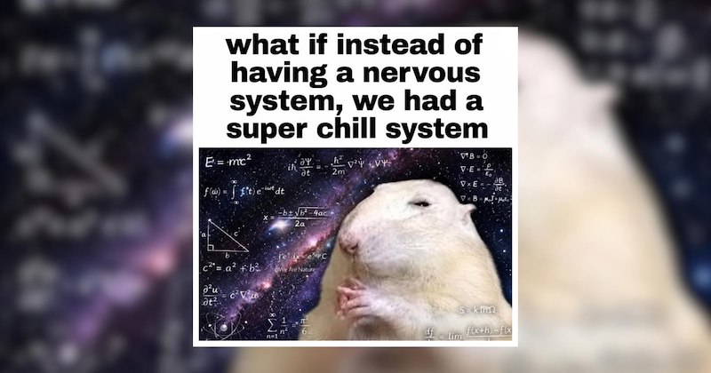 hilarious healthy patients medicine hospital funny memes medication Memes medical comedy health sick doctors funny Funny Memes - 46921221