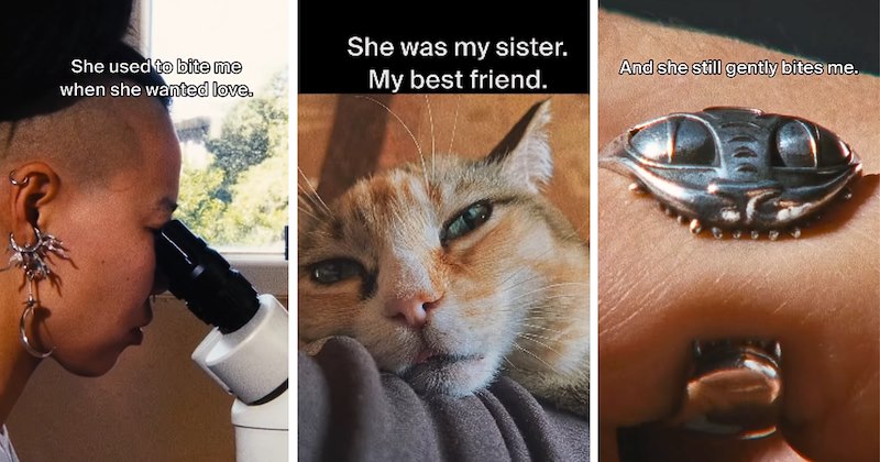 Cats heartwarming story pet tribute pet stories pets human animal bond handmade jewelry cat owners silver ring cat lovers - 46921989