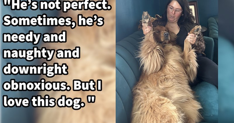 ‘Max has gotten little better at being dog, sure. But I started love him.’: Difficult puppy teaches first time dog mom how to love him herself unconditionally, helping her heal from trauma | thumbnail includes one image which shows a golden retriever lying on woman on couch ‘“He’s not perfect. Sometimes, he’s needy and naughty and downright obnoxious. But I love this dog.”’