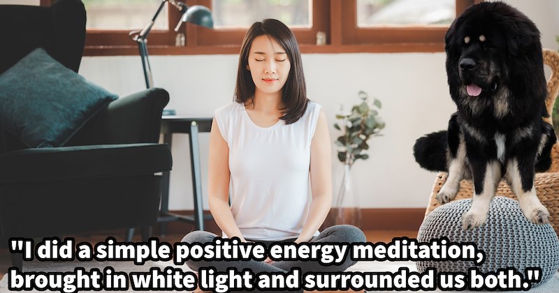 ‘ energy I could feel from her was nothing but positive.’: Anxious pup becomes filled with calm after joining dog mom’s meditation, raising questions concerning pupper mindfulness practices | thumbnail includes one image which shows woman meditating next to big black dog sitting on couch ”I did a simple positive energy meditation, brought in white light and surrounded us both.”’