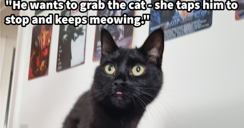 ‘Stop doing whatever you are doing right now!’: Cat mom concerned by feline pawrenting her 2 yr old son asks Reddit if behavior is normal | thumbnail includes one image which shows black cat with tongue poking out ‘“He wants to grab the cat - she taps him to stop and keeps meowing.”’