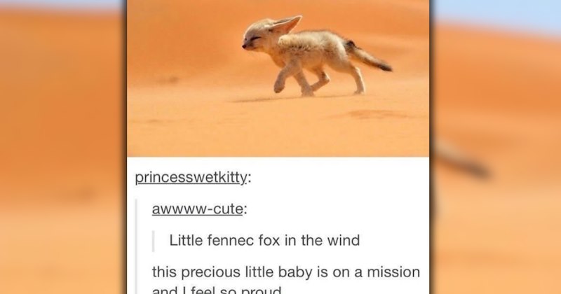 hilarious funny posts the internets tumblr relatable memes relatable tumblr gems tumblr memes funny memes funny tumblr posts Memes posts funny funny tumblr Funny Memes - 46936837