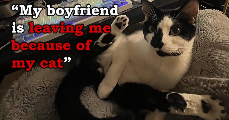 story about a man asking his girlfriend to choose between him and her cat and her choosing the cat | thumbnail includes one picture of a black and white cat sitting in a funny position 'My boyfriend is leaving me because of my cat'