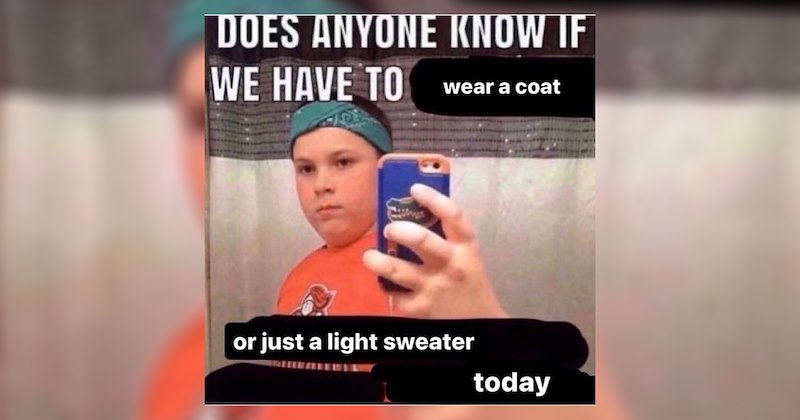 funny random memes relatable memes work memes dog memes random memes silly memes funny memes dank memes Memes twitter memes meme silly funny tweets animal memes funny cat memes Funny Memes - 46969349