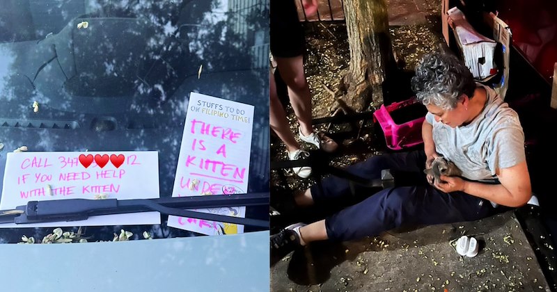‘My car was covered in notes that there was a kitten inside it’: Community saves scared feline hiding in engine after 12 hr 2 car rescued | thumbnail includes two images one image shows a car windscreen with notes under wiperblades ‘call if you need help with the kitten’ ‘there is a kitten under your car’, the other image shows a woman sitting on sidewalk holding small gray kitten