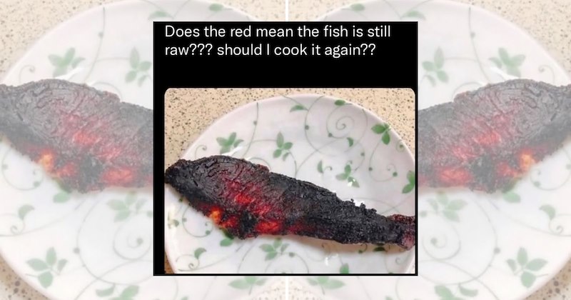 amateur chef FAIL relatable memes cooking fail funny memes cooking memes Funny Memes - 46980613