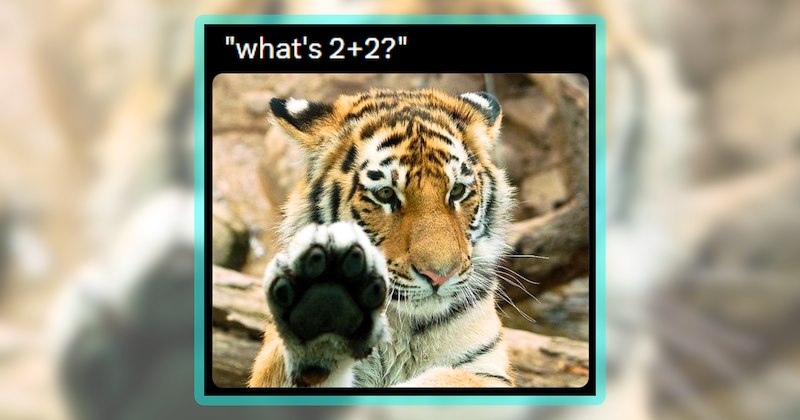 20 animal memes | thumbnail includes one meme including 'what's 2+2?'
