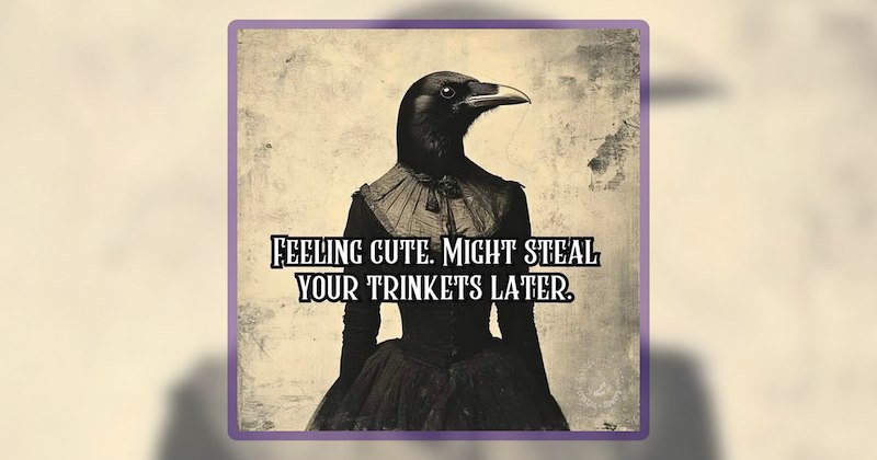 31 animal memes | thumbnail includes one meme including 'FEELING CUTE. MIGHT STEAL YOUR TRINKETS LATER.'