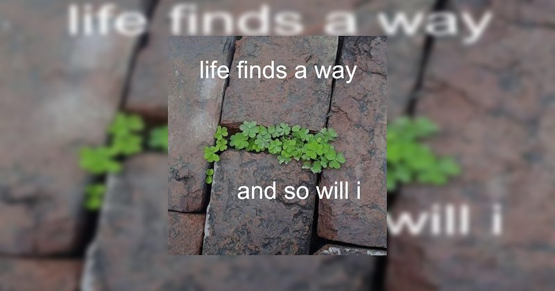  Heartwarmingly Wholesome Memes and Posts
