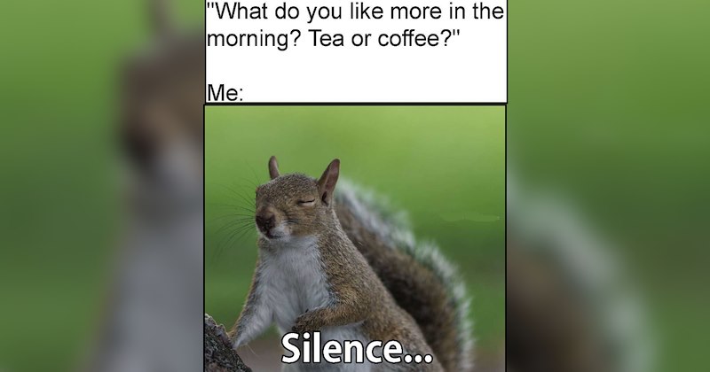 28 Fall Animal Memes to Sip on During Your Morning Coffee