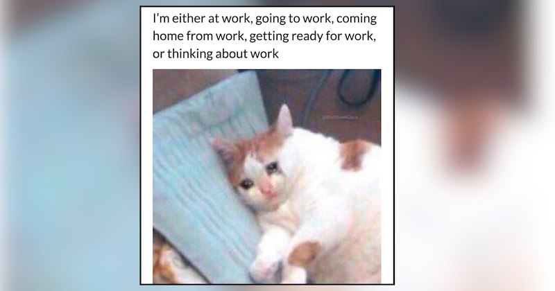 27 cat memes | thumbnail includes one meme and one picture of text including 'I'm either at work, going to work, coming home from work, getting ready for work, or thinking about work' 