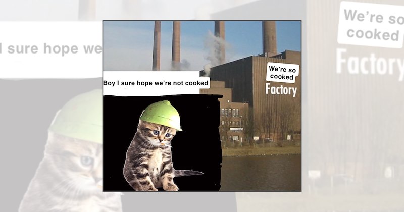 cats with hard hats Cats cat memes work memes funny cats monday work memes cats at work - 47033605