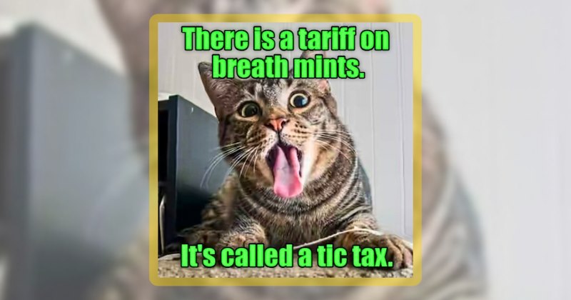 61 cat memes | thumbnail includes one meme including 'There is a tariff on breath mints. It's called a tic tax.'