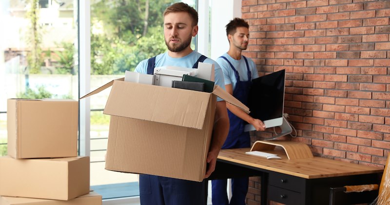 management movers employee manager job boxes work Office workplace moving company Workplace - 47061253