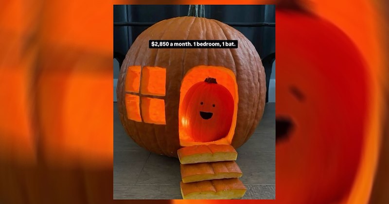 pumpkin pie halloween decorations pumpkins halloween jack o lanterns pumpkin spice latte funny memes halloween memes pumpkin spice Memes meme pumpkin carving funny meme Funny Memes - 47067909