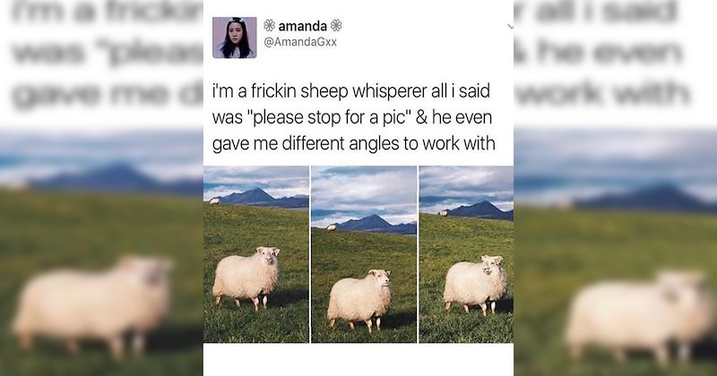  Heartwarmingly Wholesome Memes and Posts