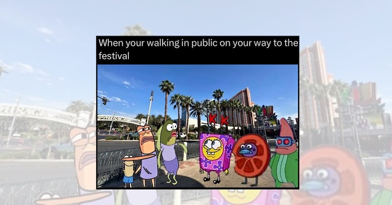concert memes live music festival food music festival memes Funny Memes music memes concert tickets - 47085061