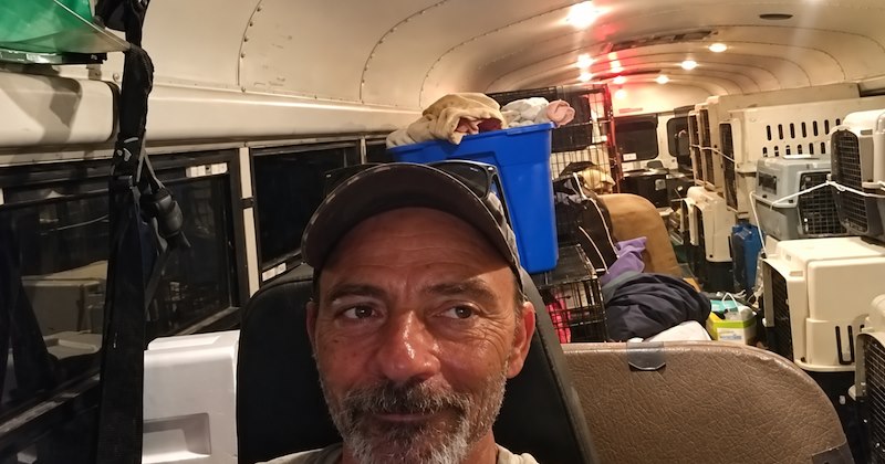 Story of Tony Alsup, the truck driver who saved 64 rescue animals during Hurricane Florence | Thumbnail includes one picture of Tony Alsup driving rescue animals in a school bus