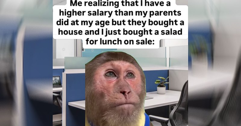 A crying monkey in an office