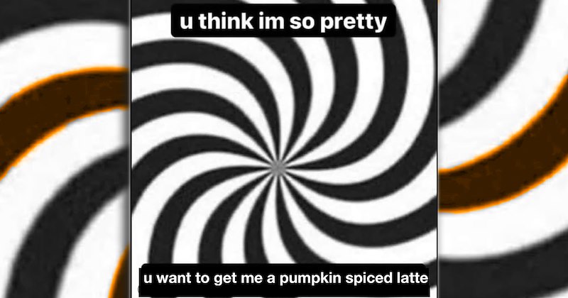humor autumn spooky season halloween pumpkin spice comedy pumpkin spice latte recipes funny fall Funny Memes - 47108869