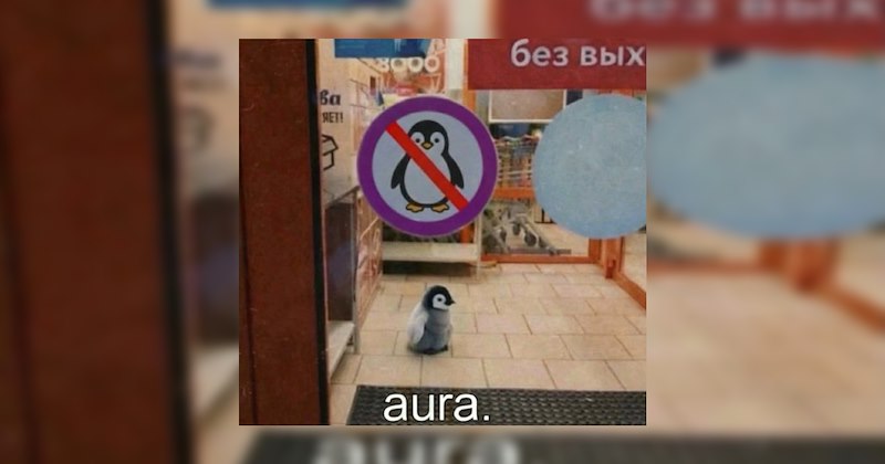 relatable penguins Memes funny animals Funny Animals - 47110149