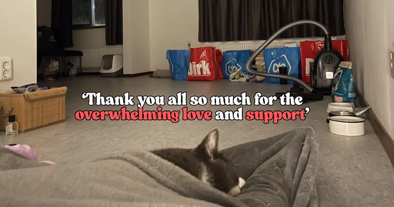 Story of homeless cat owner and cat sharing story of first night in new apartment | Thumbnail includes one picture of a cat sleeping in a mostly empty apartment including '‘Thank you all so much for the overwhelming love and support’'