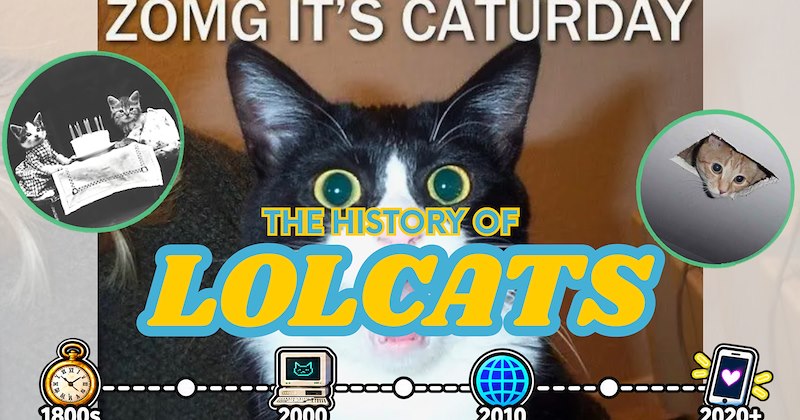 A history of cat memes and LOLcats including vintage cat pictures and modern cat memes 