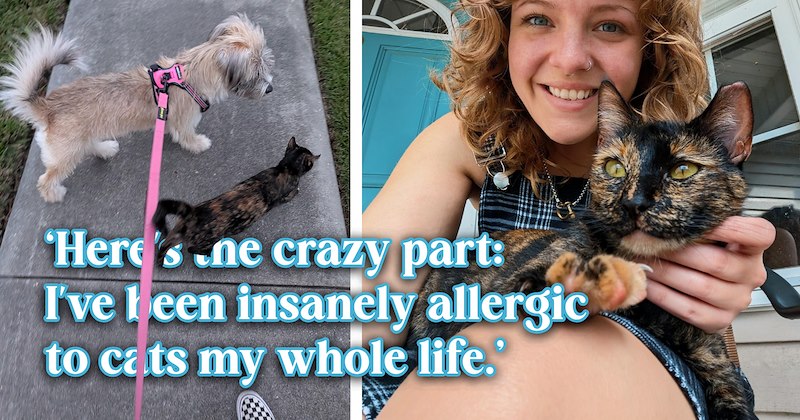 35 text pictures, 3 cat and dog pictures, 2 cat pictures, 1 dog picture, 2 cat and person pictures | thumbnail includes 1 cat and dog picture, 1 cat and person picture, and ‘Here's the crazy part: I've been insanely allergic to cats my whole life.’