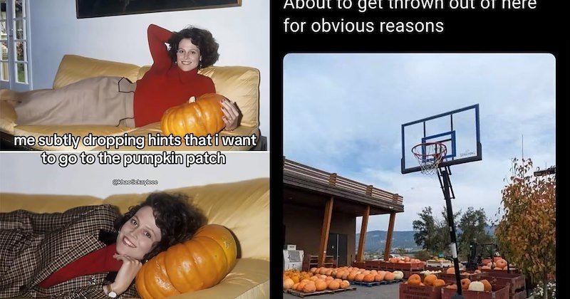 Funny Memes autumn millennial memes pumpkins halloween memes pumpkin spice fall memes pumpkin patch mom memes funny fall - 47117061